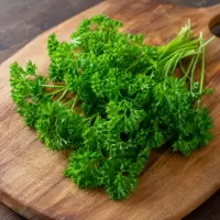 Parsley Segar Peterseli